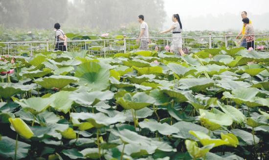 &#21338;&#40060;&#32593;&#39029;&#29256;&#30331;&#20837;&#30028;&#38754;&#45;&#21338;&#40060;&#40;&#20013;&#22269;&#41;